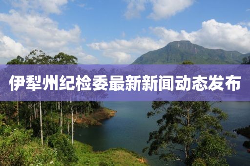 伊犁州紀(jì)檢委最新新聞動態(tài)發(fā)布