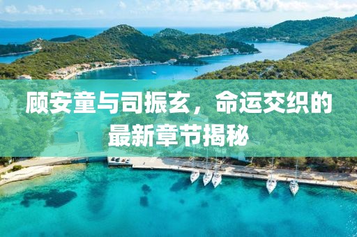 顧安童與司振玄，命運交織的最新章節(jié)揭秘