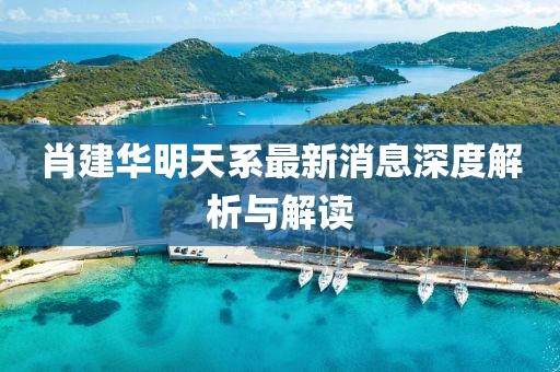 肖建華明天系最新消息深度解析與解讀