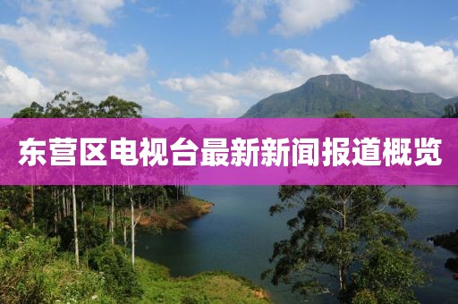 東營(yíng)區(qū)電視臺(tái)最新新聞報(bào)道概覽