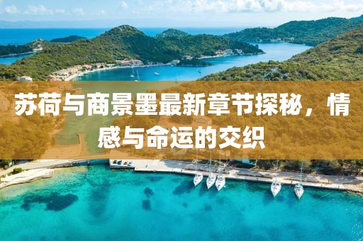 蘇荷與商景墨最新章節(jié)探秘，情感與命運的交織