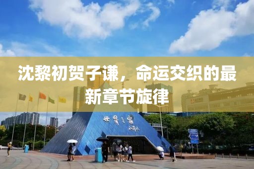 沈黎初賀子謙，命運交織的最新章節(jié)旋律
