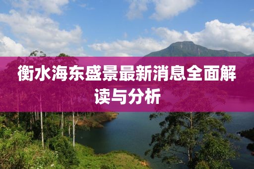 衡水海東盛景最新消息全面解讀與分析