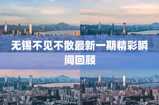 無錫不見不散最新一期精彩瞬間回顧