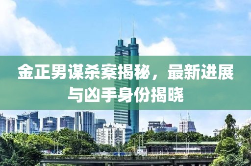 金正男謀殺案揭秘，最新進展與兇手身份揭曉