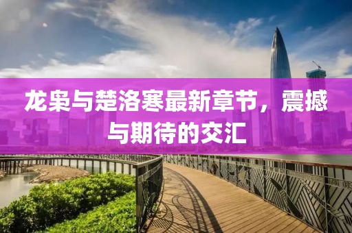 龍梟與楚洛寒最新章節(jié)，震撼與期待的交匯