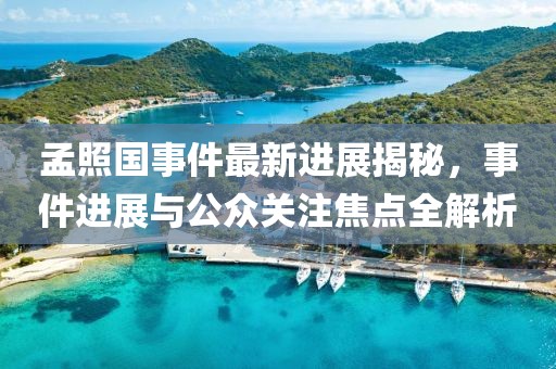 孟照國事件最新進(jìn)展揭秘，事件進(jìn)展與公眾關(guān)注焦點(diǎn)全解析
