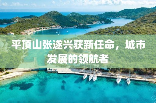 平頂山張遂興獲新任命，城市發(fā)展的領(lǐng)航者