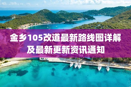 金鄉(xiāng)105改道最新路線圖詳解及最新更新資訊通知