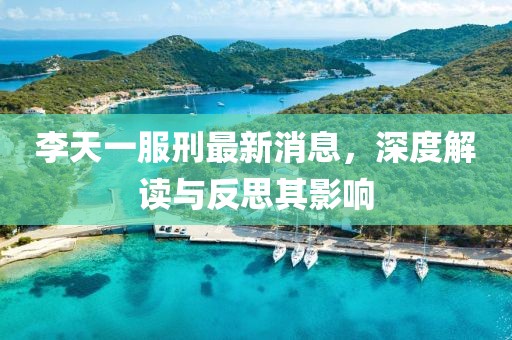 李天一服刑最新消息，深度解讀與反思其影響