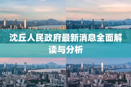 沈丘人民政府最新消息全面解讀與分析