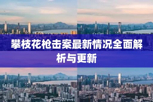 攀枝花槍擊案最新情況全面解析與更新