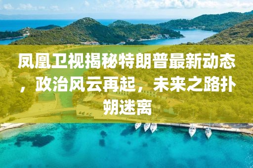 鳳凰衛(wèi)視揭秘特朗普最新動(dòng)態(tài)，政治風(fēng)云再起，未來之路撲朔迷離