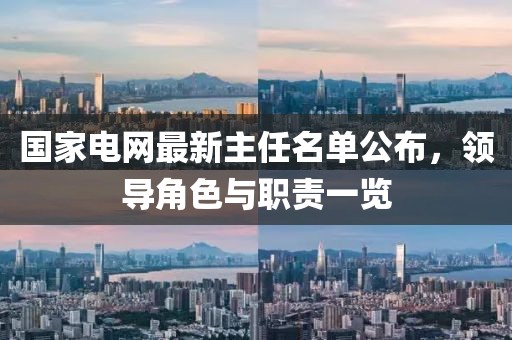 國家電網(wǎng)最新主任名單公布，領(lǐng)導(dǎo)角色與職責(zé)一覽