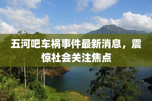 五河吧車禍?zhǔn)录钚孪?，震驚社會(huì)關(guān)注焦點(diǎn)