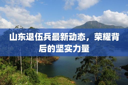 山東退伍兵最新動(dòng)態(tài)，榮耀背后的堅(jiān)實(shí)力量