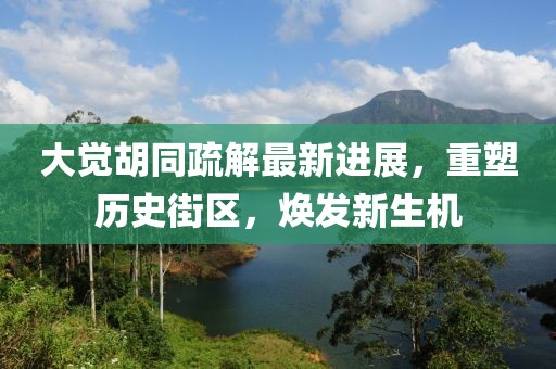 大覺(jué)胡同疏解最新進(jìn)展，重塑歷史街區(qū)，煥發(fā)新生機(jī)