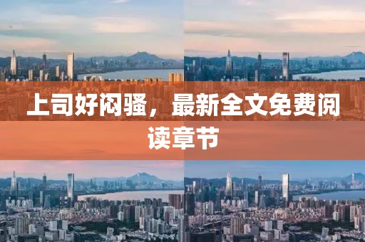 上司好悶騷，最新全文免費閱讀章節(jié)