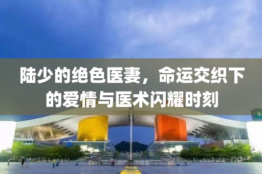 陸少的絕色醫(yī)妻，命運交織下的愛情與醫(yī)術(shù)閃耀時刻