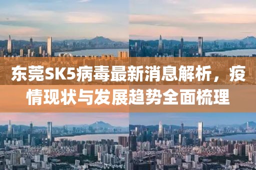 東莞SK5病毒最新消息解析，疫情現(xiàn)狀與發(fā)展趨勢全面梳理