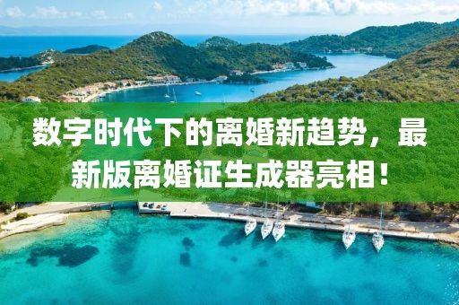 數(shù)字時(shí)代下的離婚新趨勢(shì)，最新版離婚證生成器亮相！