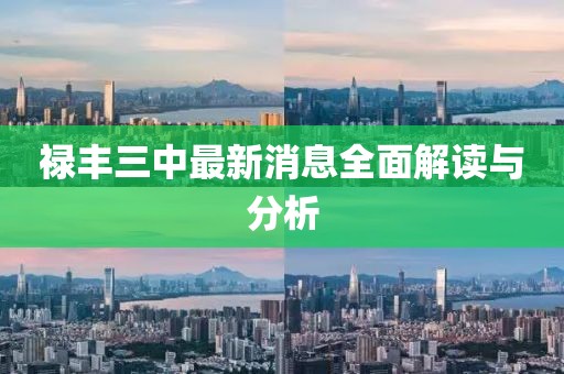 祿豐三中最新消息全面解讀與分析