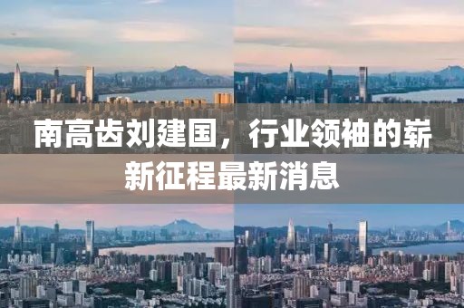 南高齒劉建國，行業(yè)領(lǐng)袖的嶄新征程最新消息