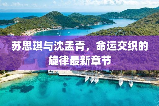 蘇思琪與沈孟青，命運(yùn)交織的旋律最新章節(jié)