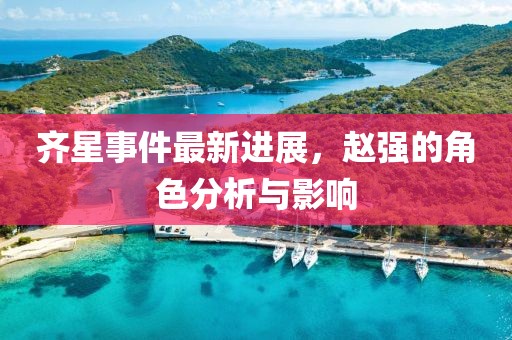 齊星事件最新進(jìn)展，趙強(qiáng)的角色分析與影響