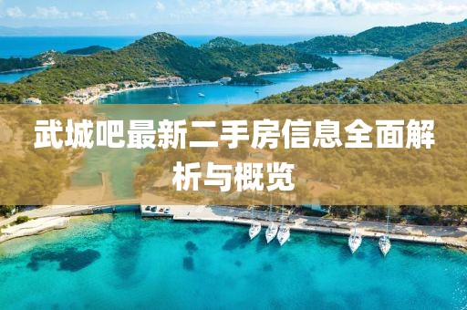 武城吧最新二手房信息全面解析與概覽