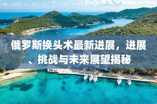 俄羅斯換頭術(shù)最新進(jìn)展，進(jìn)展、挑戰(zhàn)與未來展望揭秘