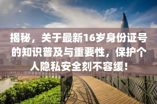 揭秘，關(guān)于最新16歲身份證號(hào)的知識(shí)普及與重要性，保護(hù)個(gè)人隱私安全刻不容緩！