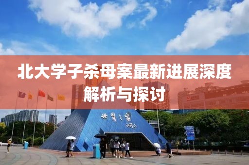 北大學(xué)子殺母案最新進(jìn)展深度解析與探討