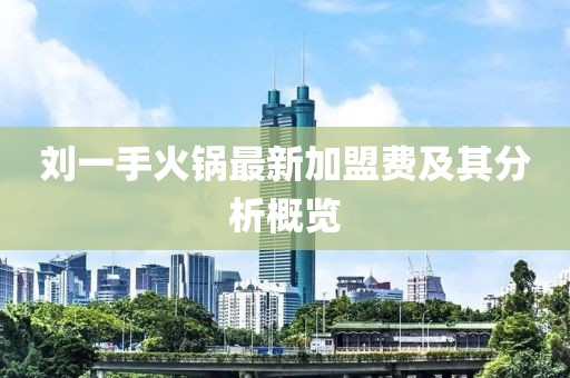 劉一手火鍋?zhàn)钚录用速M(fèi)及其分析概覽