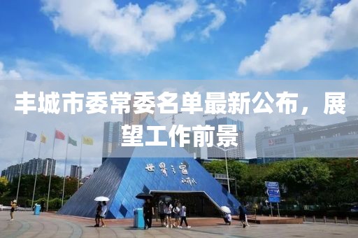 豐城市委常委名單最新公布，展望工作前景