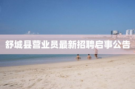 舒城縣營業(yè)員最新招聘啟事公告