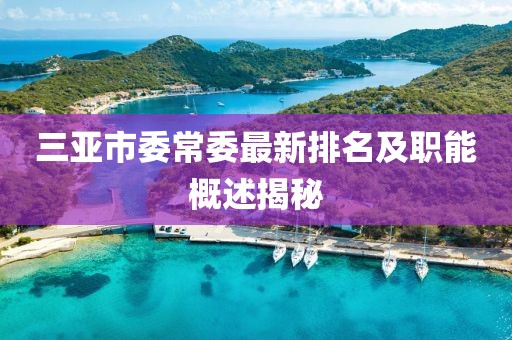 三亞市委常委最新排名及職能概述揭秘