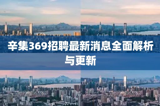 辛集369招聘最新消息全面解析與更新