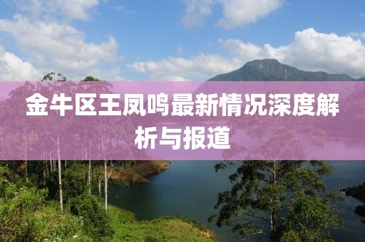 金牛區(qū)王鳳鳴最新情況深度解析與報道