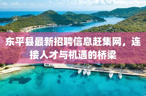 東平縣最新招聘信息趕集網(wǎng)，連接人才與機(jī)遇的橋梁