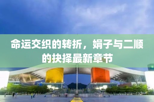 命運(yùn)交織的轉(zhuǎn)折，娟子與二順的抉擇最新章節(jié)