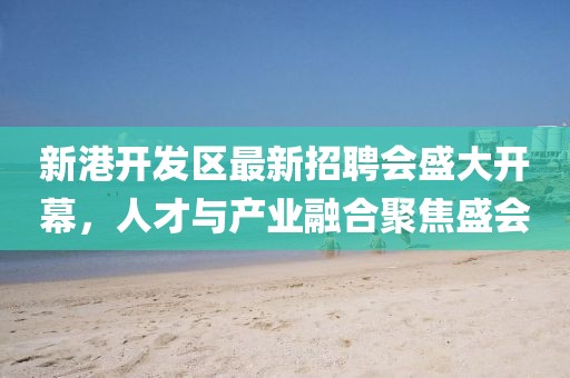 新港開發(fā)區(qū)最新招聘會(huì)盛大開幕，人才與產(chǎn)業(yè)融合聚焦盛會(huì)