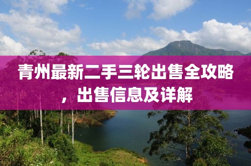 青州最新二手三輪出售全攻略，出售信息及詳解
