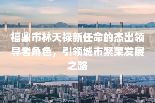 福鼎市林天祿新任命的杰出領(lǐng)導(dǎo)者角色，引領(lǐng)城市繁榮發(fā)展之路