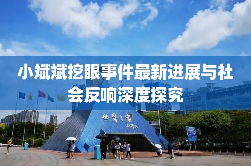 小斌斌挖眼事件最新進(jìn)展與社會反響深度探究