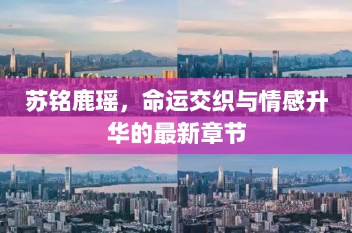 蘇銘鹿瑤，命運(yùn)交織與情感升華的最新章節(jié)