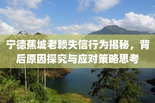 寧德蕉城老賴失信行為揭秘，背后原因探究與應(yīng)對(duì)策略思考