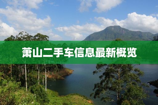 蕭山二手車信息最新概覽