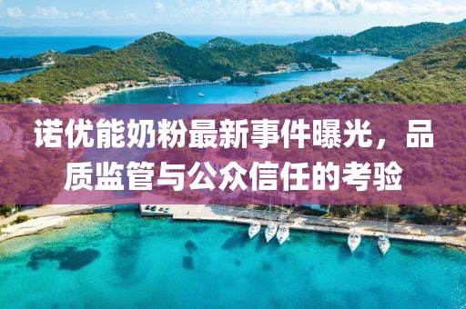 諾優(yōu)能奶粉最新事件曝光，品質(zhì)監(jiān)管與公眾信任的考驗