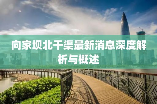 向家壩北干渠最新消息深度解析與概述